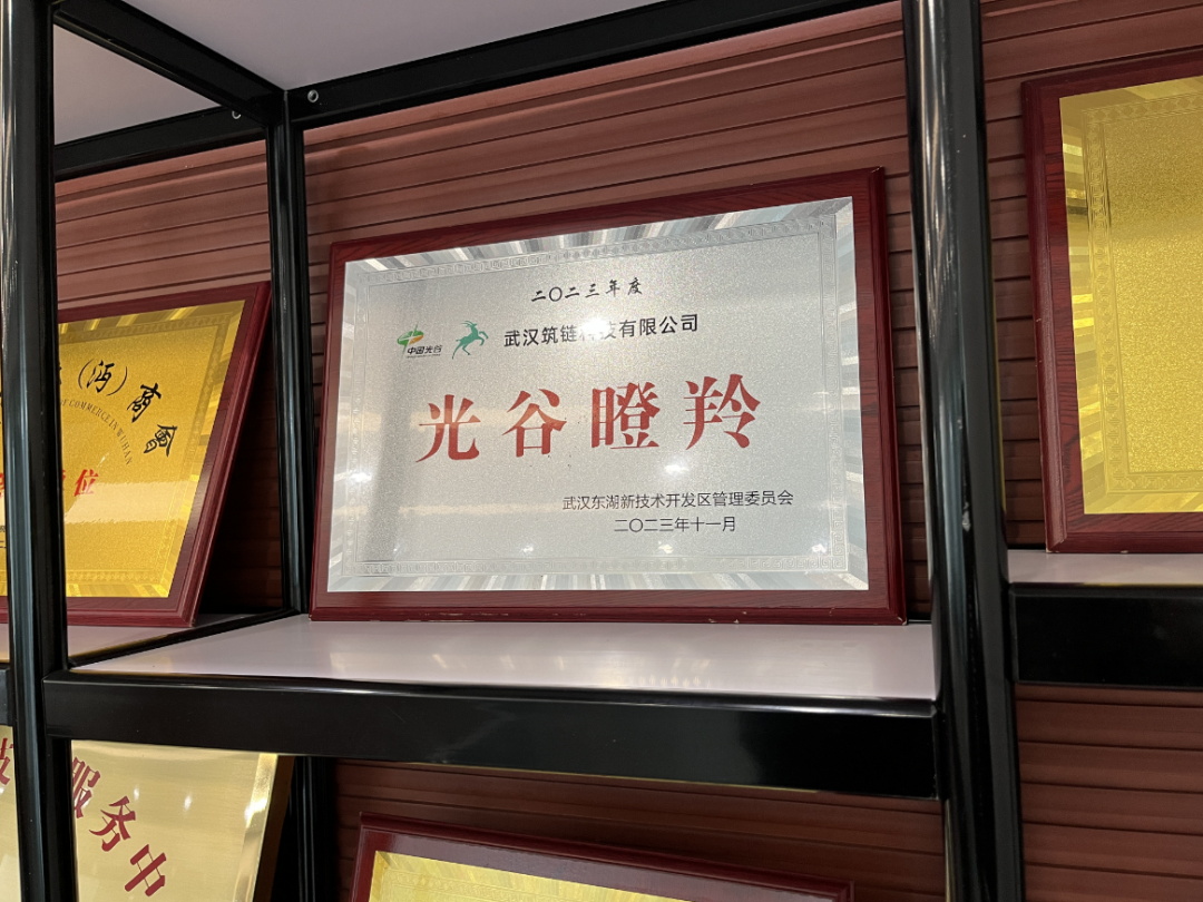 1730967529605 11_看图王